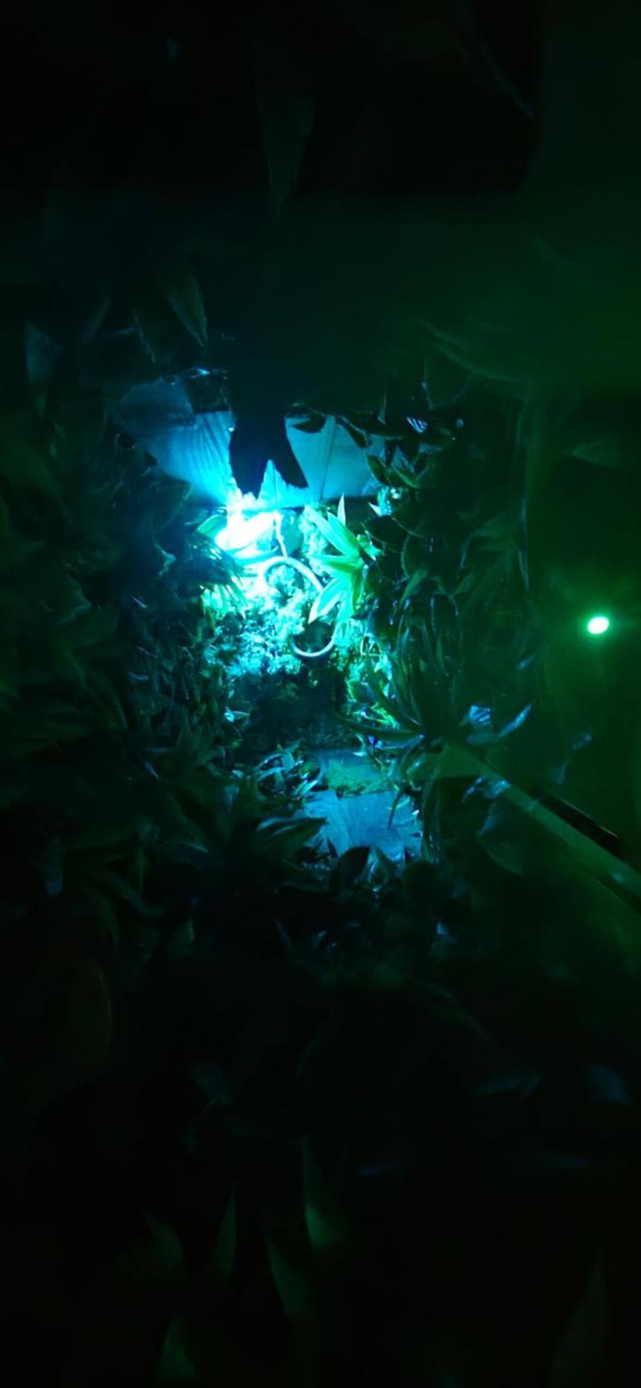 La Jungle Room Rognac Buitenkant foto